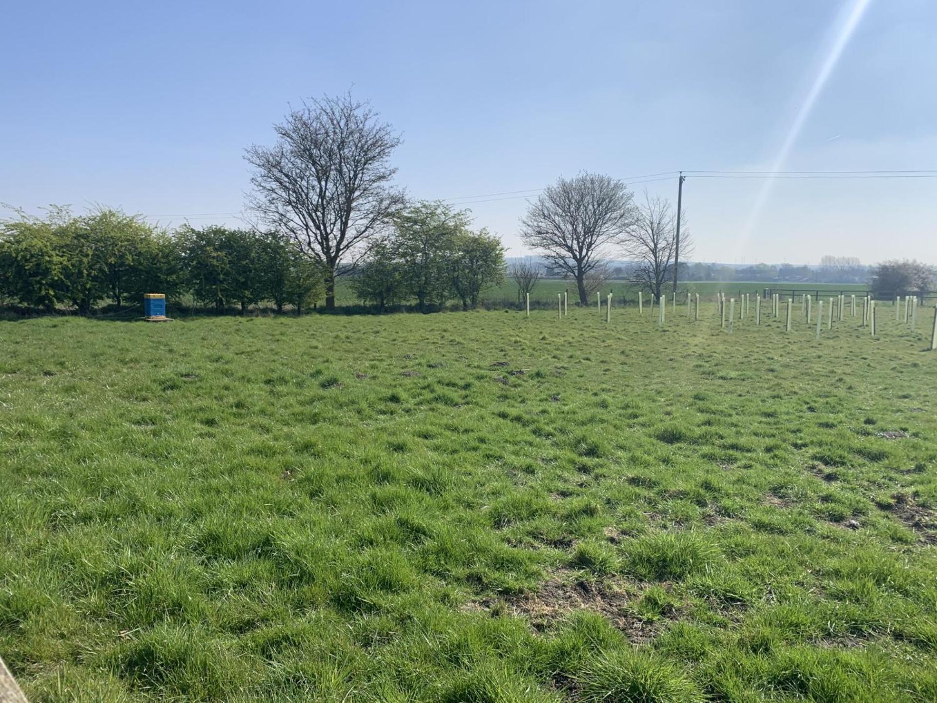 Shiptonthorpe 卢比安之家旅馆酒店 外观 照片